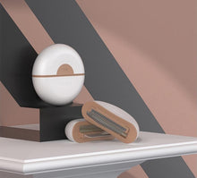 将图片加载到图库查看器,Multifunctional Pet Comb, with Convenient Storag, for Long and Short Fur