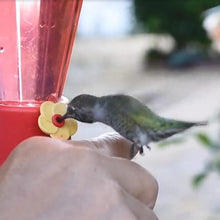 将图片加载到图库查看器，Garden Collection Hanging Hummingbird Feeders

