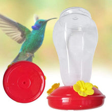 将图片加载到图库查看器，Garden Collection Hanging Hummingbird Feeders
