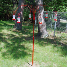 将图片加载到图库查看器，Garden Collection Hanging Hummingbird Feeders
