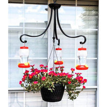 将图片加载到图库查看器，Garden Collection Hanging Hummingbird Feeders
