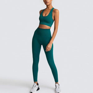 Seamless Gym Set Nylon Woman Sportswear 2 Piece Exercise Leggings