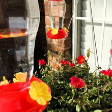 将图片加载到图库查看器，Garden Collection Hanging Hummingbird Feeders

